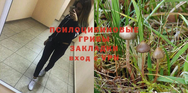 таблы Арсеньев